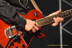 Concert de Steve Freund