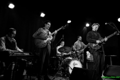 Concert de Steve Freund