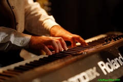 Concert de Steve Freund