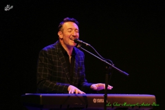 Vincent Pollet Villard