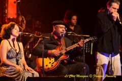 Heritage Blues Orchestra