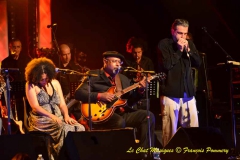 Heritage Blues Orchestra