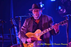 Heritage Blues Orchestra