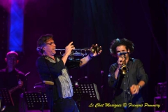 Heritage Blues Orchestra