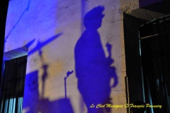 Festival Blues en Loire 2012