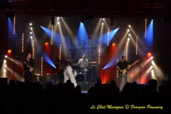 Festival Blues en Loire 2012