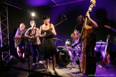 Festival Blues en Loire 2012  Jam