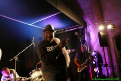 Festival Blues en Loire 2012  Jam