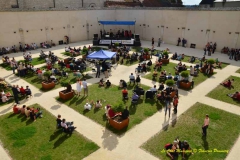 Cloitre et Festival
