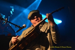 Elmore D