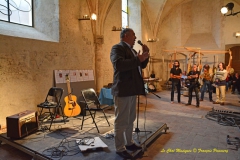 Festival Blues en Loire 2014