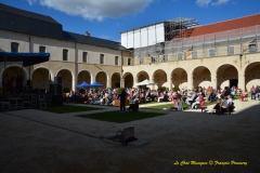 Festival Blues en Loire 2014