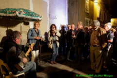 Festival Blues en Loire 2014