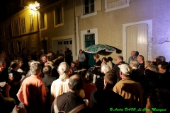 Festival Blues en Loire 2014