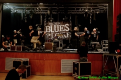 Festival Blues en Loire 2014