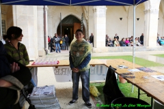 Festival Blues en Loire 2014