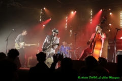 The French Blues Explosion