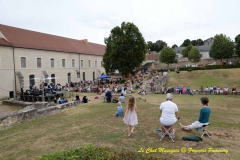 Wildmen Blues Band