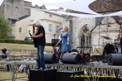 Wildmen Blues Band