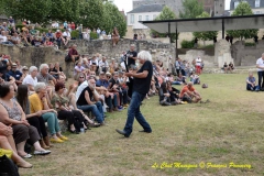Wildmen Blues Band