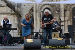 Wildmen Blues Band