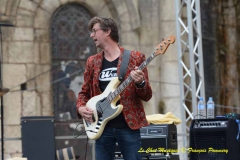 Wildmen Blues Band