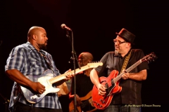 Shawn Holt and The Teardrops