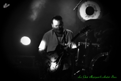 Diunna Greenleaf Band