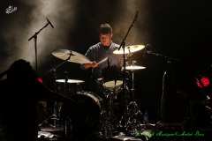Diunna Greenleaf Band