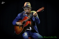 Raoul Ficel