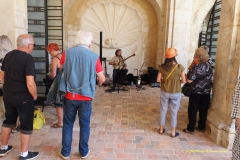 Thierry Lepicier  et ses guitares à résonnateur
