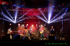 Les Saucers avec Vincent Bucher