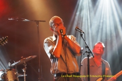 French Blues All Stars