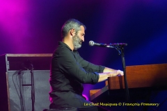 French Blues All Stars