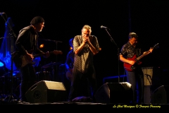 Concert de Fred Chapellier