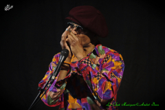 Guy DAVIS