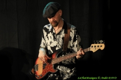 Tail Dragger Rockin Johnny Band