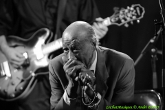 120206055028_tail-dragger---rockin--johnny-band.ad_07_resize