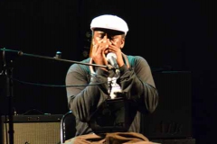 Terry Harmonica Bean