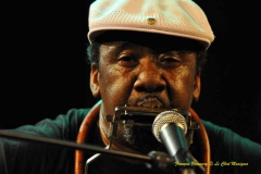 Terry Harmonica Bean