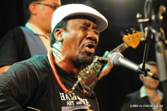 Terry Harmonica Bean