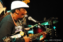 Terry Harmonica Bean