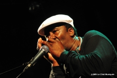 Terry Harmonica Bean
