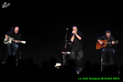 Vincent-Bucher-trio